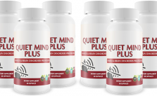 Quiet Mind Plus Review